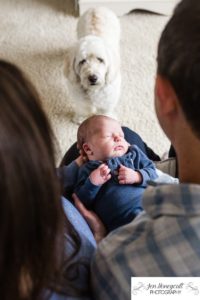 Littleton family photographer newborn new baby boy in home lifestyle photography session photo dog doggie sleeping Solterra Lakewood parents parenthood Colorado