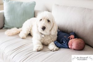 Littleton family photographer newborn new baby boy in home lifestyle photography session photo dog doggie sleeping Solterra Lakewood parents parenthood Colorado