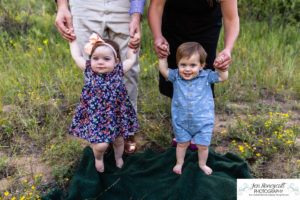 Littleton family photographer Colorado Lair O the Bear park in Morrison photography twins siblings boy girl brother sister one year old photo session