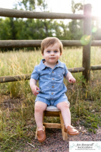 Littleton family photographer Colorado Lair O the Bear park in Morrison photography twins siblings boy girl brother sister one year old photo session