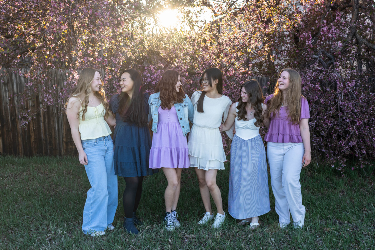 Spring tree blossoms with friends