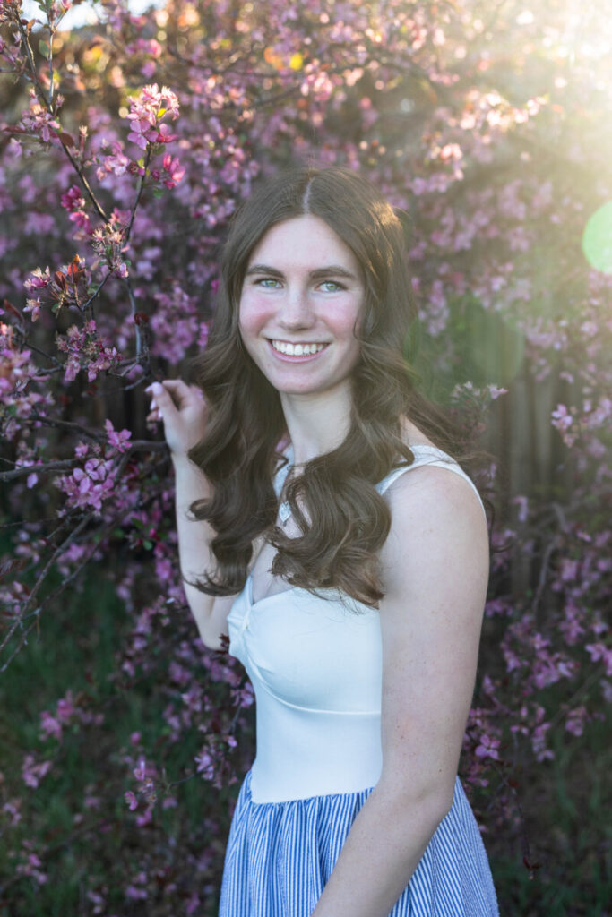 Pink crab apple tree blooms in Littleton