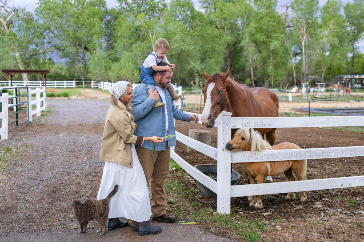 Farm life photography photo session with horses and a family